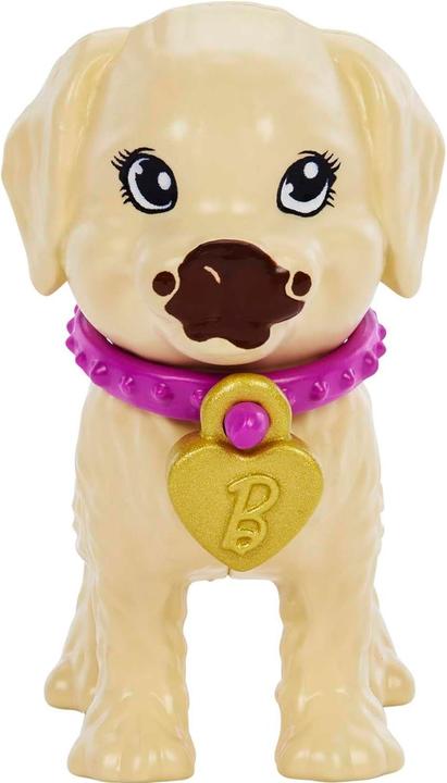 Produktbild Barbie Adopt-a-Pup Latina