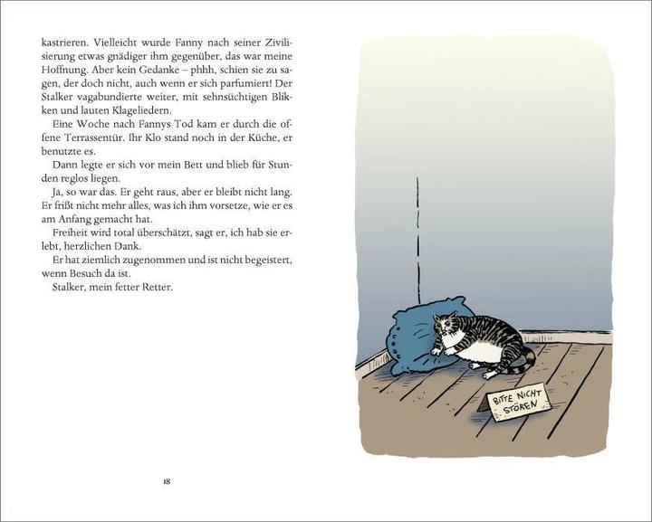 Produktbild Katzentreffen (Deutsch, Eva Demski, 2015)