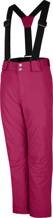 Actual product image Dare2b Childrens/Kids Motive Ski Pants (164)