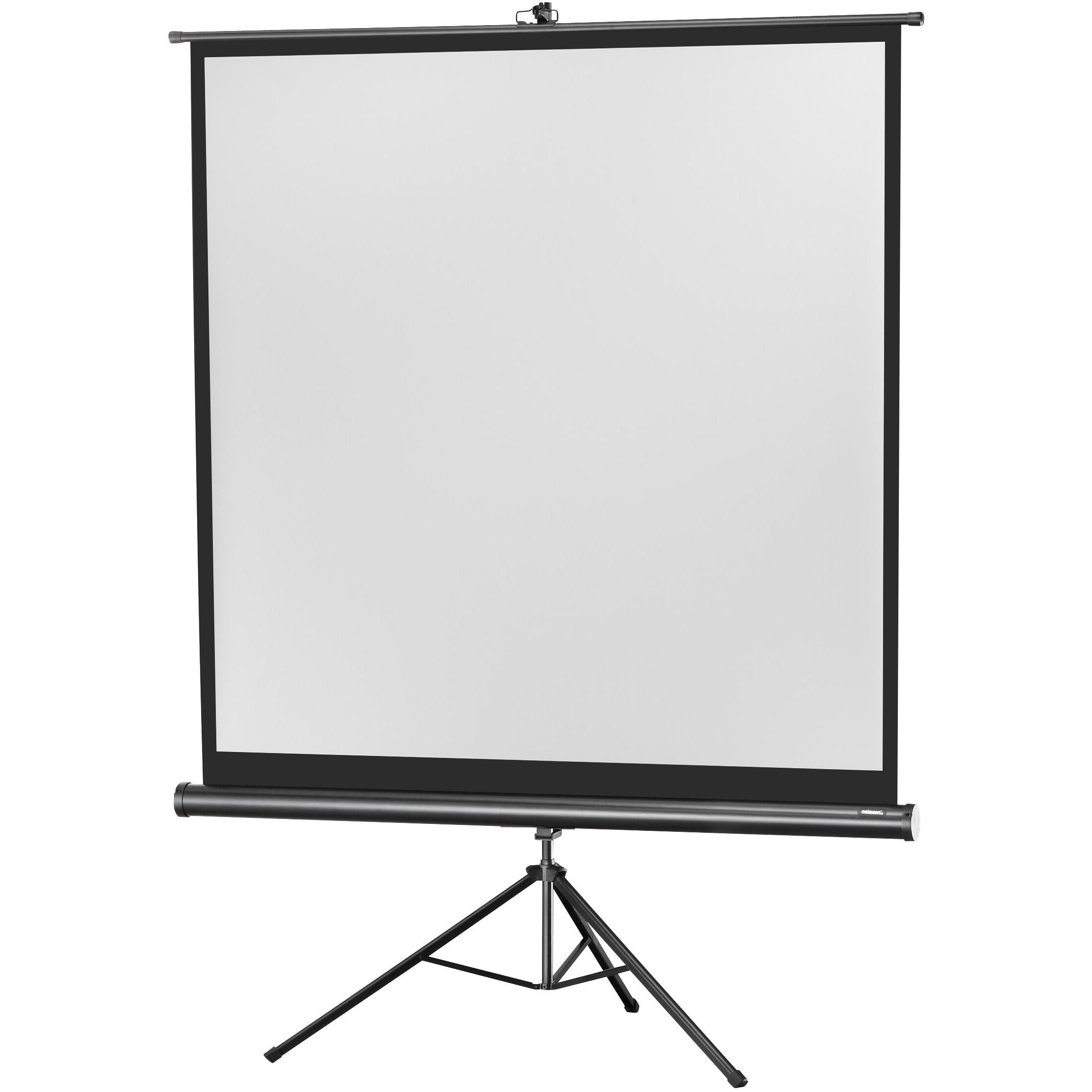 Celexon Eco Stativ, Leinwand, 1:1 (86.22", 1:1), Leinwand, Schwarz