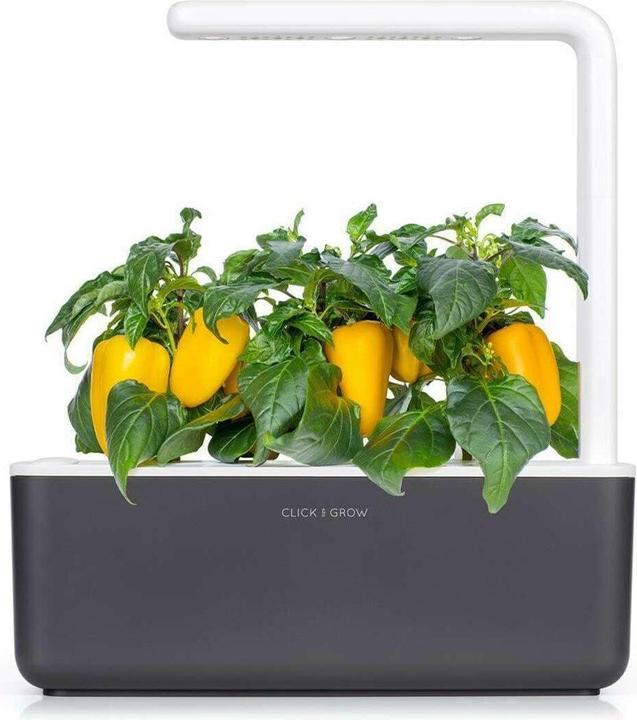Produktbild Click and Grow Yellow Sweet Pepper (Gemüsesamen)