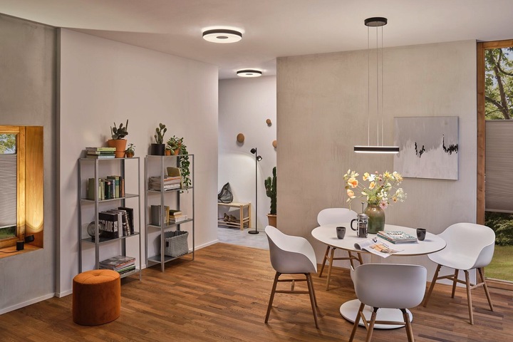 Image du produit Paulmann Luminaires Puric Pane (600 lm)
