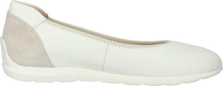 Image du produit Ara Sardinia (40)