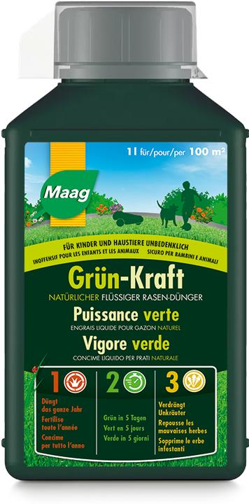 Maag Grn-Kraft Rasen-Dnger - kaufen bei Galaxus - Galaxus
