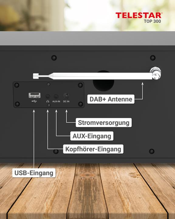 Actual product image Telestar Top 300 (Web radio, DAB+, VHF, FM, Bluetooth, Wi-Fi)