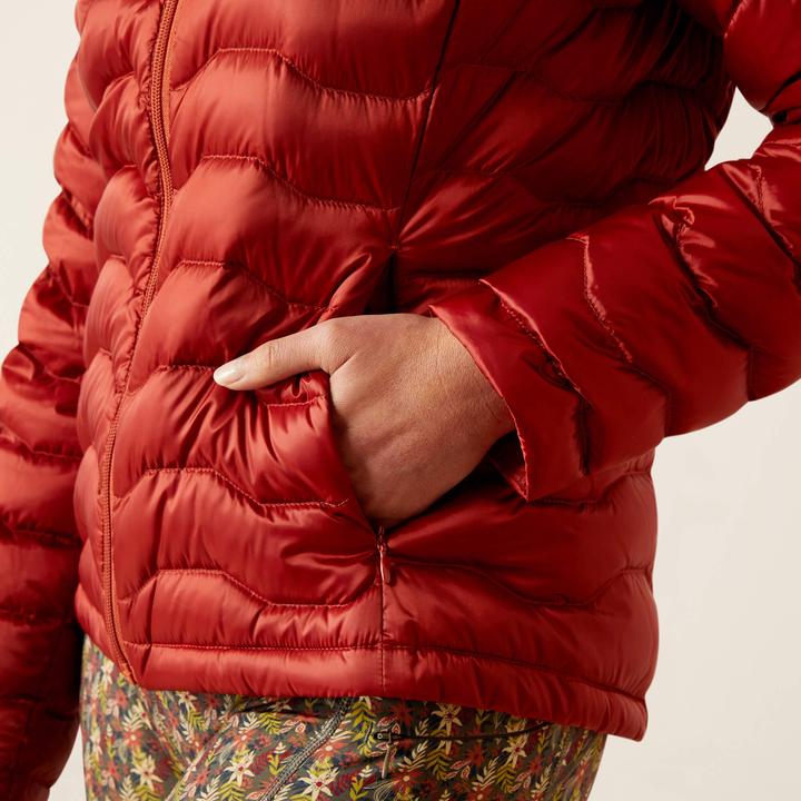 Image du produit Ariat Ideal (XXL)