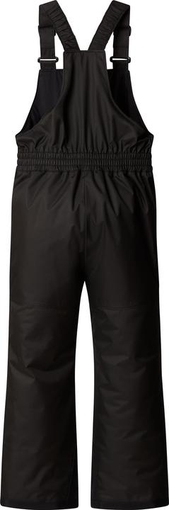 Actual product image North Face Kids Freedom Insulated Bib