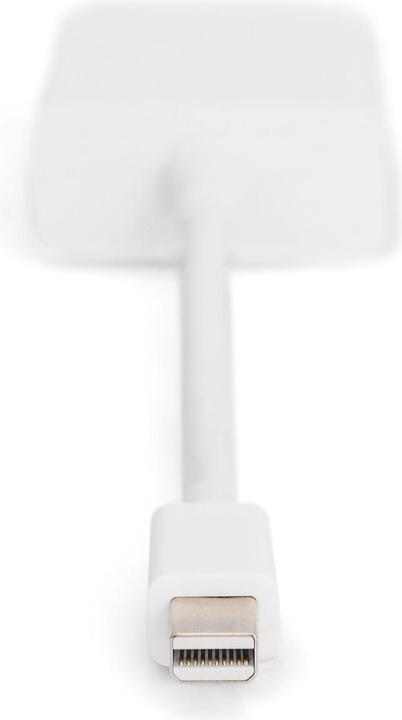 Produktbild Digitus DP Adapterk.,miniDP/DVI 0.15m (DVI, 20 cm)