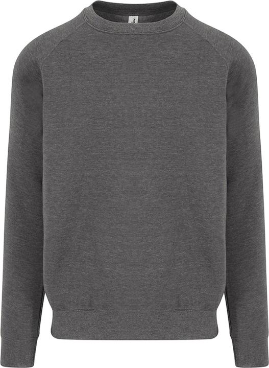 Immagine prodotto Awdis Felpa pesante Just Hoods Graduate (XL)