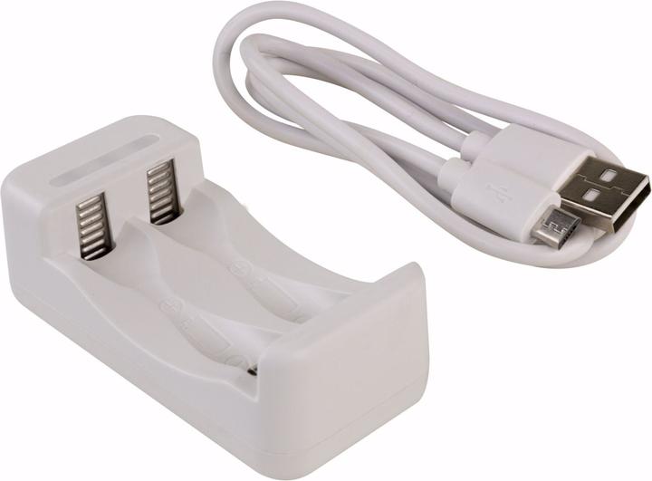 Immagine prodotto Ansmann Caricabatterie Basic II incl. 2 x AA 1300mAh batteria ricaricabile (1 pz., AA, AAA, 1300 mAh, Batteria + Caricabatterie)