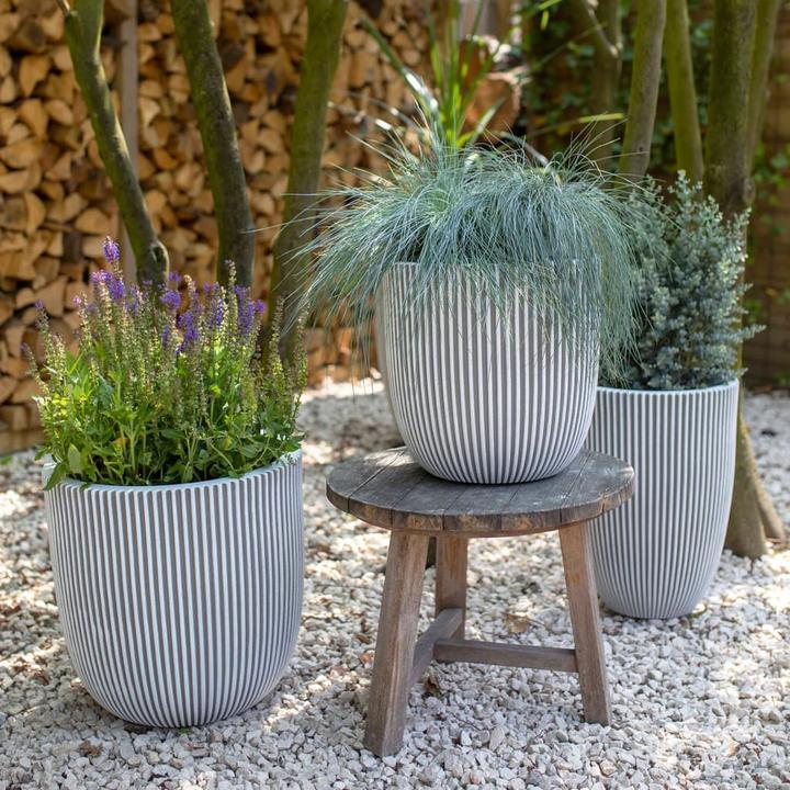 Produktbild Capi Tripp (46 x 58 cm)