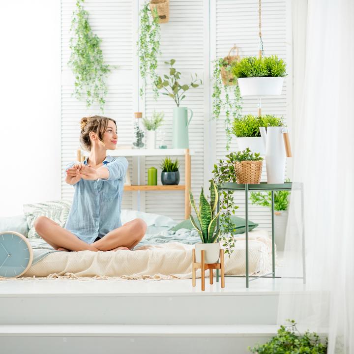 Image du produit Relaxdays Support pour plantes