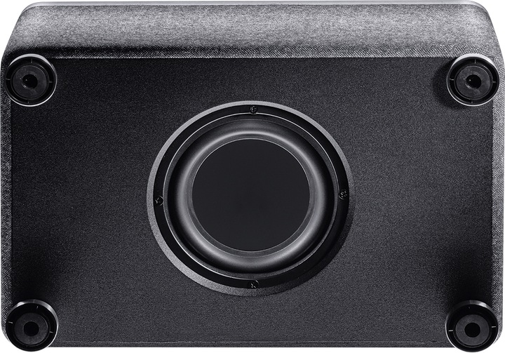Actual product image Magnat Prime One (Electrical connection)