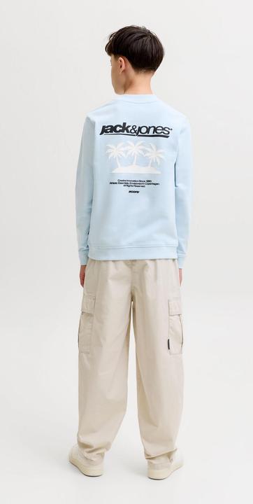 Produktbild Jack & Jones Junior Pullover CLUB SUMMER Sweatshirt (140)