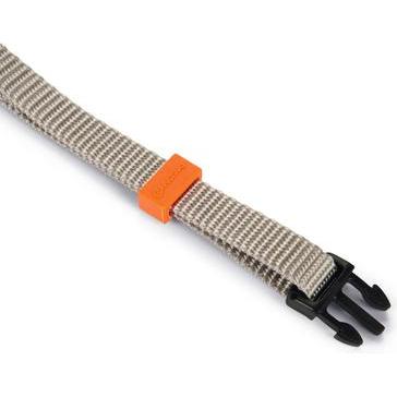 Beeztees BZ NY HALSBD UNI HELLGRAU 20-3 (23, 24, 25, 27, 28, 29, 30, Hund, Allgemein), Halsband + Leine