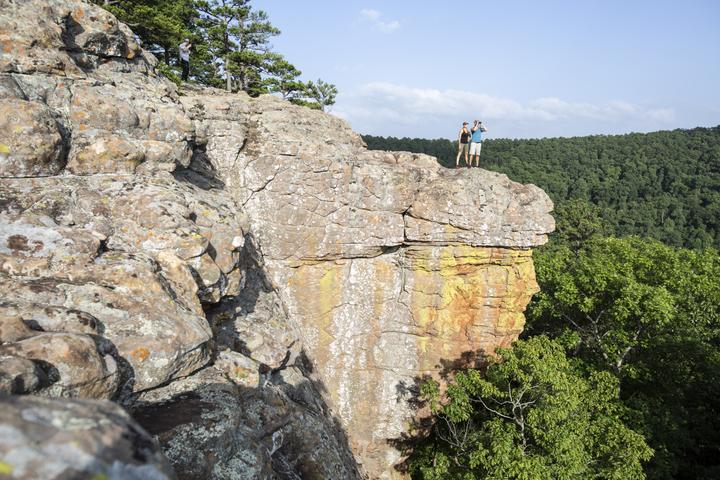 Actual product image Bushnell Powerview binoculars 16 x 32 (16 x, 32 mm)