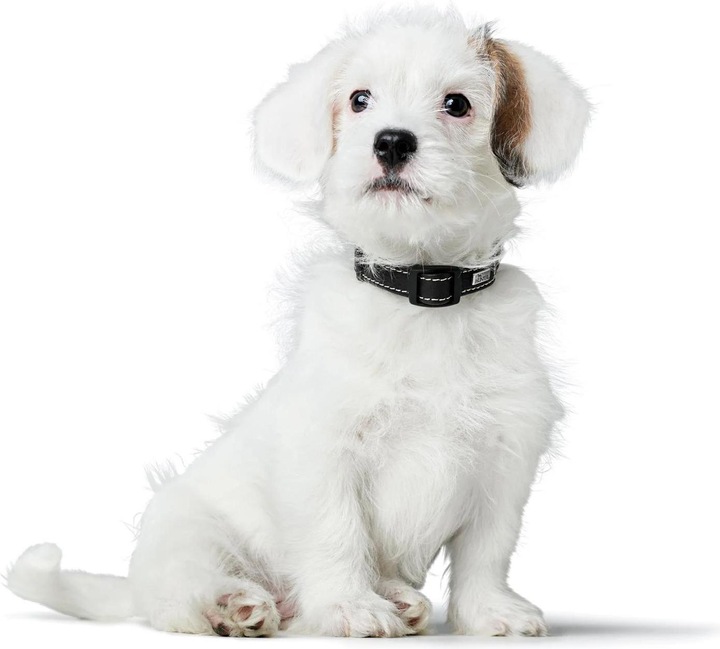 Immagine prodotto Hunter Canadian Up per cani nero S/1 (1, S, Cane, Generale)