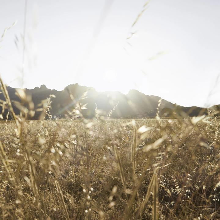 Produktbild Burberry Goddess (Eau de Parfum, 30 ml)