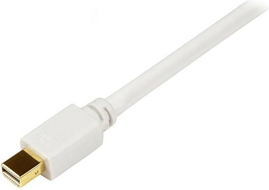 Actual product image StarTech Mini DisplayPort — DVI (3 m)