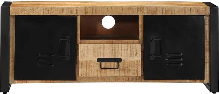 Image du produit vidaXL TV-Schrank (100 x 30 x 40 cm)