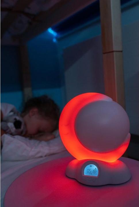 Image du produit Kidywolf Animo Mondo