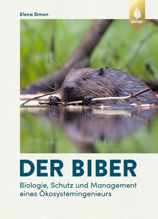 Image du produit Der Biber (Allemand, Elena Simon, 2021)