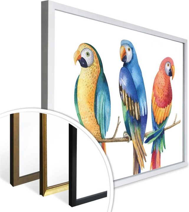 Immagine prodotto Trenddeko Kvilis - Pappagalli colorati (80 x 60 cm)