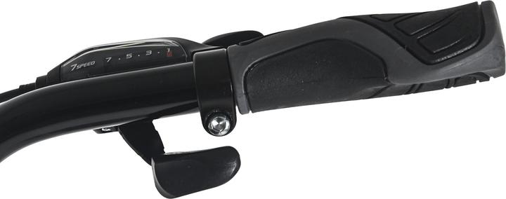 Produktbild Trekkingrad Herren 28" Firenze 100 21 Gänge RH 53 cm Anthrazit (53 cm)