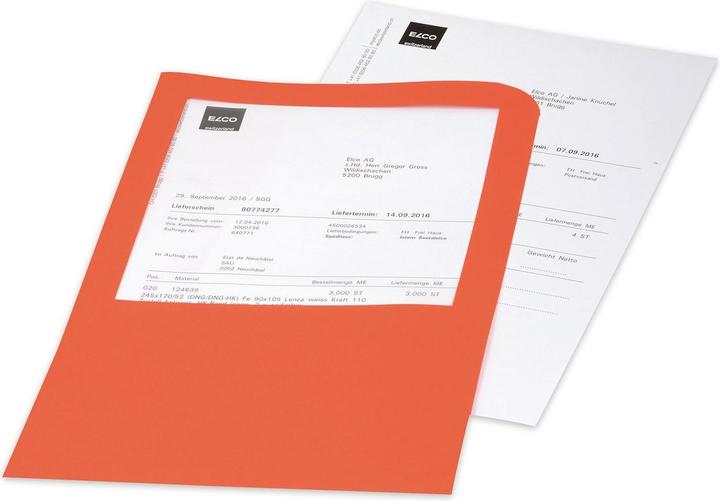 Image du produit Elco Poches de transport Ordo (A4, 100x)