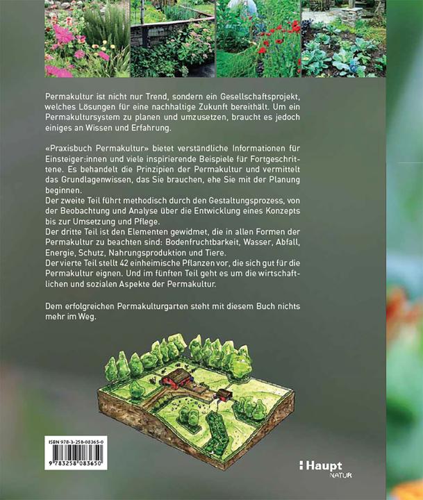 Produktbild Praxisbuch Permakultur (Deutsch, Jessi Bloom, Dave Boehnlein, 2025)