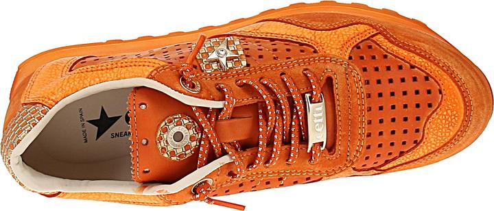 Image du produit Cetti C-848 SRA V26 (41)