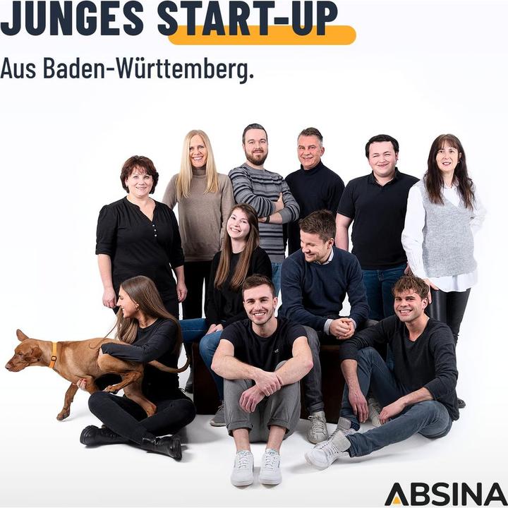 Immagine prodotto Absina Mignon (AA)-Akku NiMH 1.2 V 8 St. (8 pz., AA / LR6 / LR06 / Mignon / R6 / R14505, HR6, 2650 mAh)