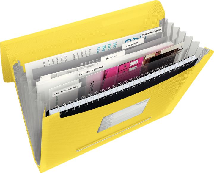 Produktbild Esselte Fächermappe VIVIDA (A4, 1x)