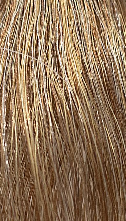 Produktbild Ref. Soft Colour Coloration 8.31 Light Gold Ash Blonde 3 x 50 ml (8.31 Light Gold Ash Blonde)