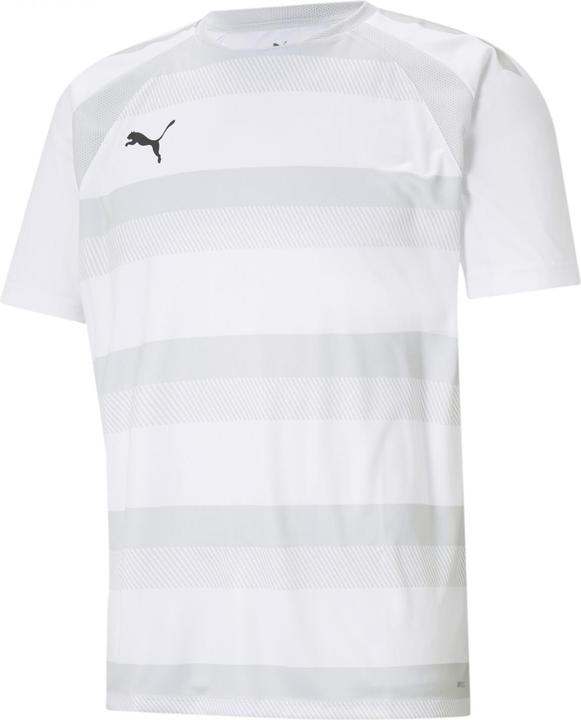 Produktbild Puma teamVISION Jersey-704921 (M)