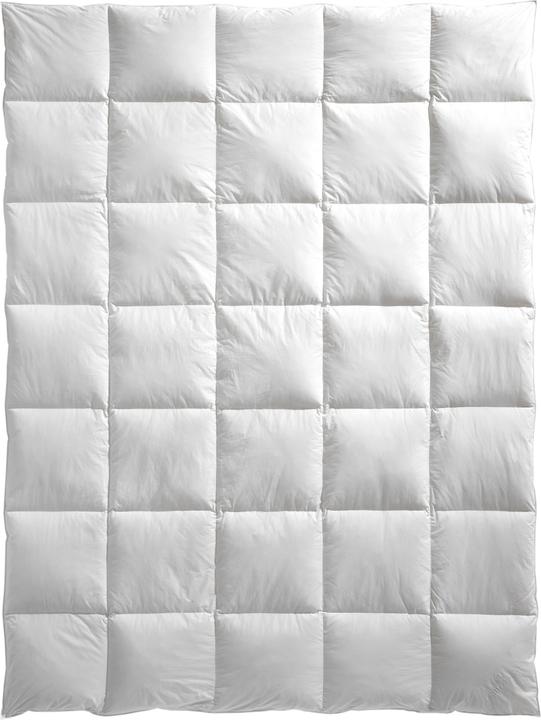 Image du produit Feelings by billerbeck Lara 4-Saisons (1000 g, 160 x 210 cm)