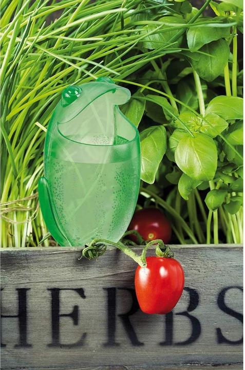 Immagine prodotto Scheurich Distributore d'acqua Froggy M | 2X Verde | Capacità di riempimento 140 ml | Palla per annaffiare (Palline per l'irrigazione)