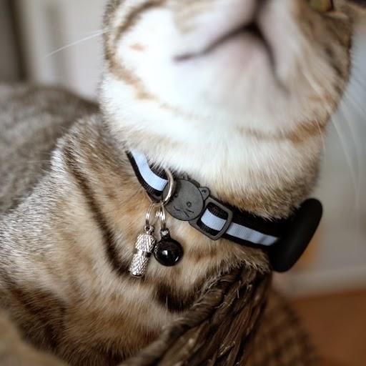 Produktbild Esmée Katzen Halsband mit AirTag Silikon Halter & Reflektor/Glöckchen Rosa