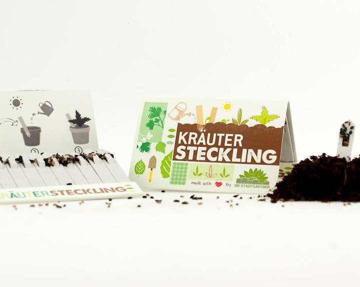 Image du produit Bouture Herbes aromatiques (Graines d'herbes aromatiques)