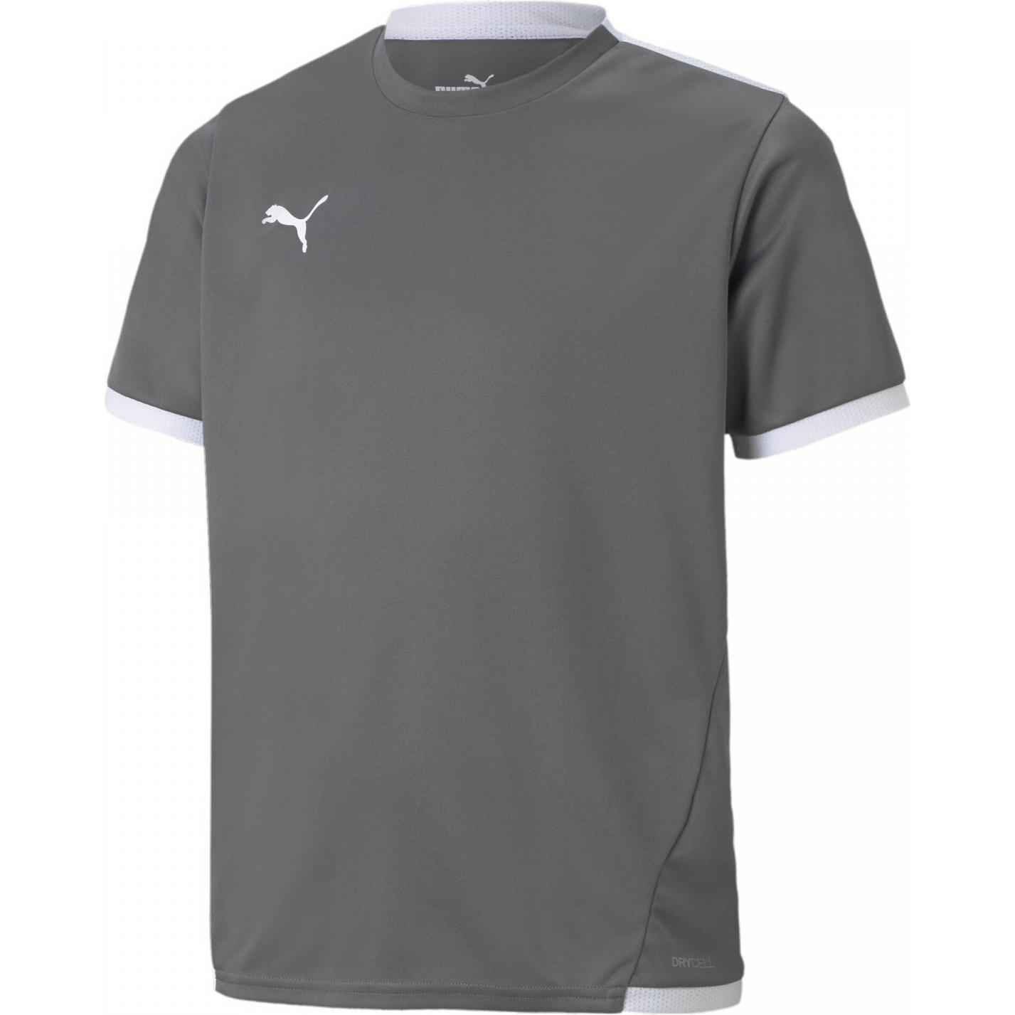 Puma, Herren, Sportshirt, teamLIGA Jersey Jr-704925 (164), Weiss, 164
