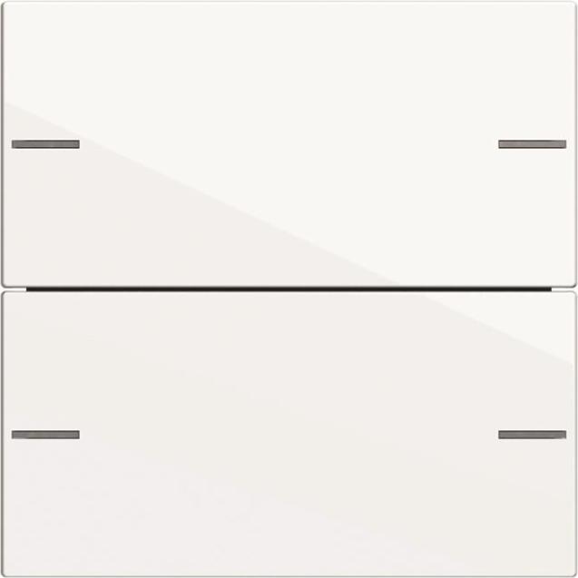 Actual product image Gira Rocker set