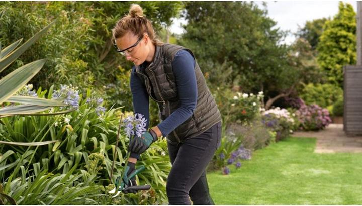 Produktbild Bosch Home & Garden EasyPrune