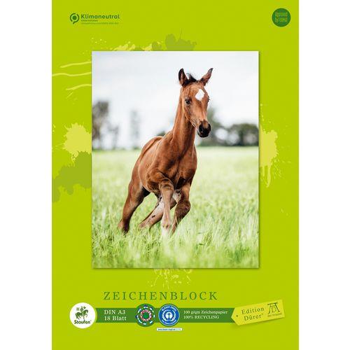 Produktbild Edition Dürer Zeichenblock green DIN A3 (A3, Blanko, Weicher Einband)