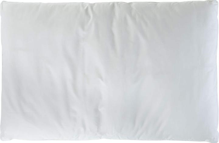 Actual product image Cocon Classic pillow (100 x 65 cm)