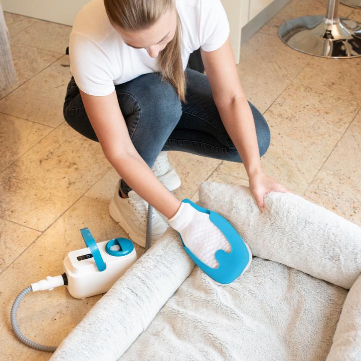 Actual product image Livington SteamTouch - Ergonomischer Handdampfreiniger (1200 W)