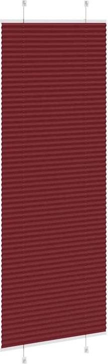 Image du produit vidaXL Plissee (80 x 200 cm)