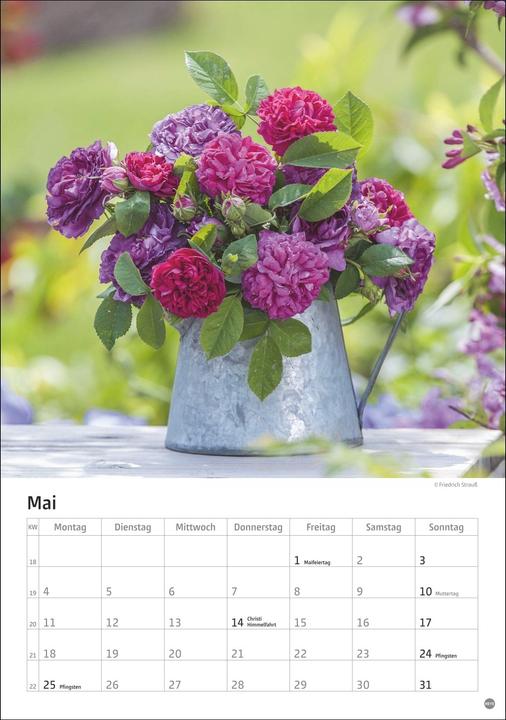 Produktbild Rosenpracht Kalender 2026 (23,5x33,5cm)