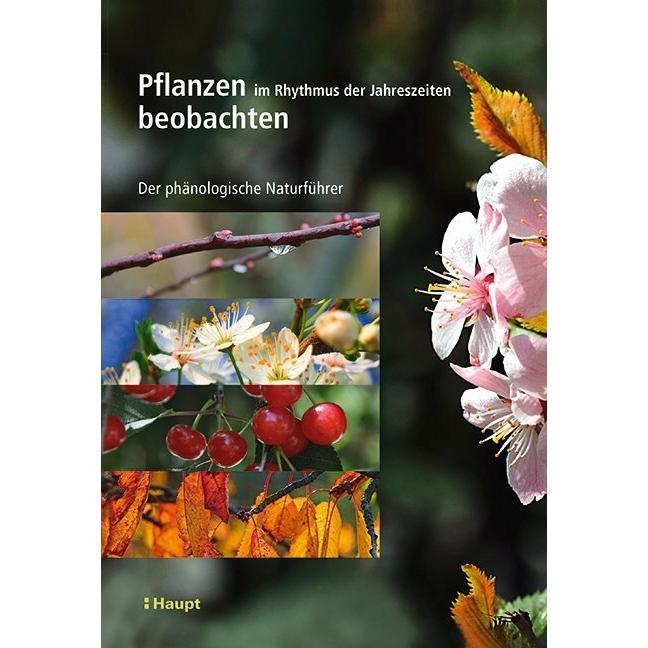 Pflanzen im Rhythmus der Jahreszeiten beobachten, Fachbücher von Vincent Badeau