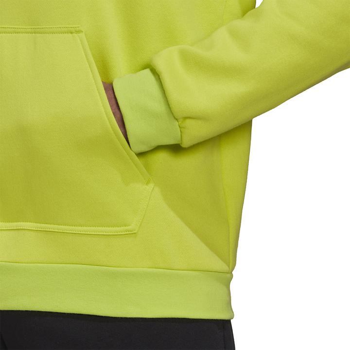 Actual product image adidas Entrada 22 Sweat Hoodie (M)
