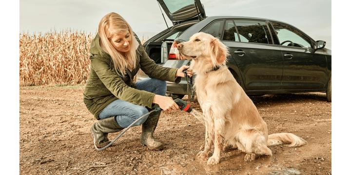 Actual product image Bosch Home & Garden Fontus 18V (Rechargeable battery operated)